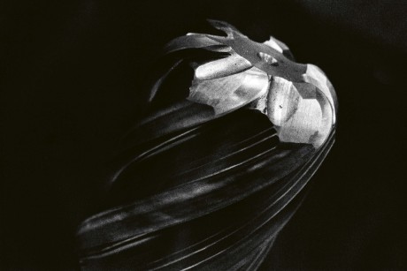57