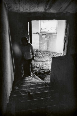 81
